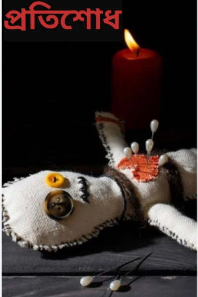 প্রতিশোধ