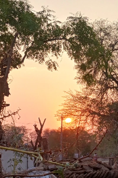 लघुकथाएं