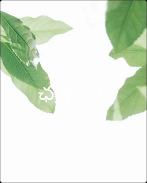 ఛత్రపతి