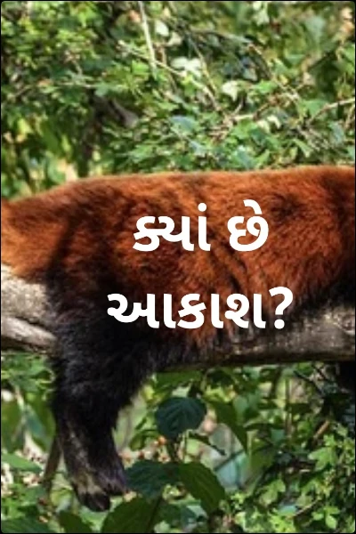 ક્યાં છે આકાશ?