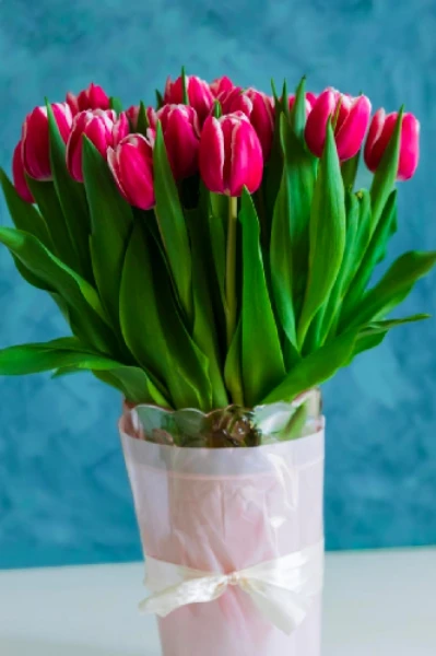 ధనం మూలం ఇదం జగత్