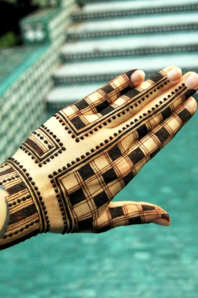 😁  ಚೆಸ್ ಬೋರ್ಡ್ 🥳vs ಗೋರಂಟಿ