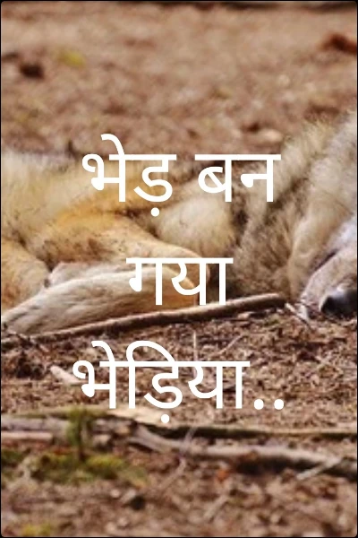 भेड़ बन गया भेड़िया..