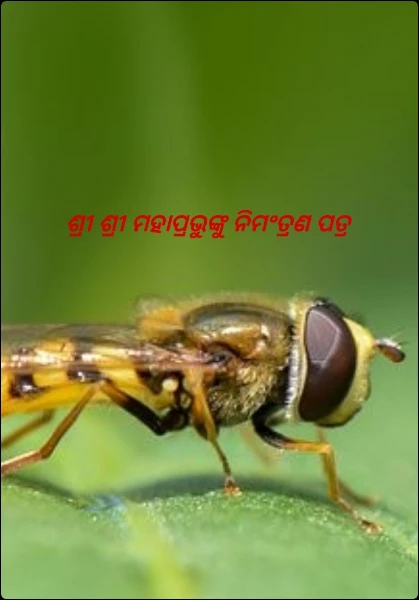 ଶ୍ରୀ ଶ୍ରୀ ମହାପ୍ରଭୁଙ୍କୁ ନିମଂତ୍ରଣ ପତ୍ର