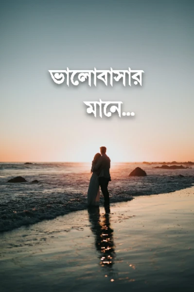 ভালোবাসার মানে
