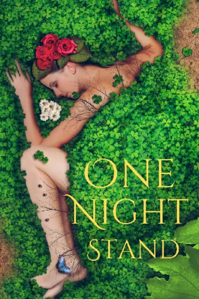 वन नाईट स्टेन्ड