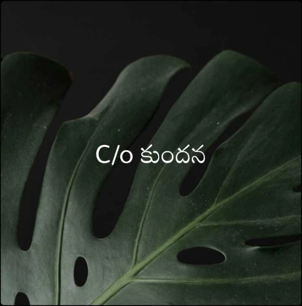C/o కుందన