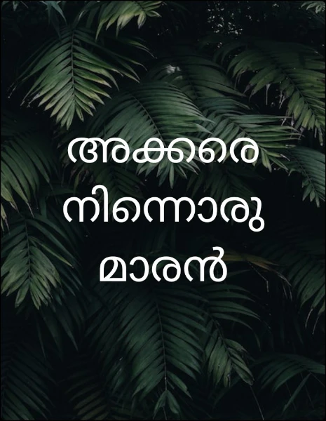 അക്കരെ നിന്നൊരു മാരൻ