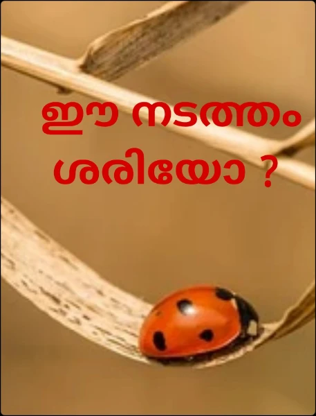 ഈ നടത്തം ശരിയോ ?