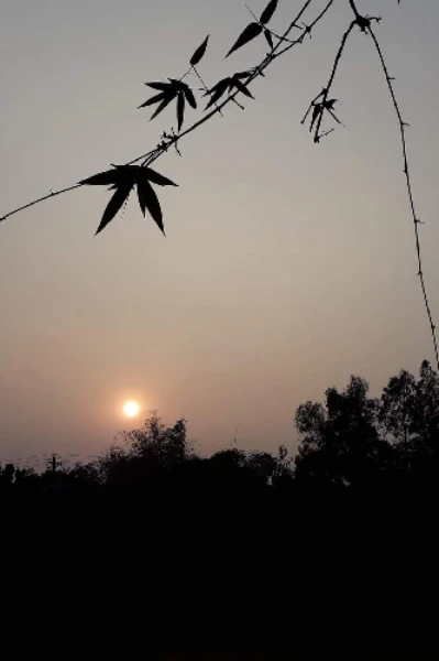(ভালোবাসায় যোগাযোগ। একাল সেকাল।)