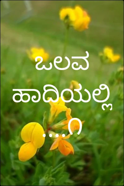 ಒಲವ ಹಾದಿಯಲ್ಲಿ....೧