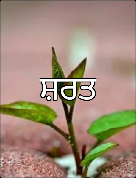 ਸ਼ਰਤ
