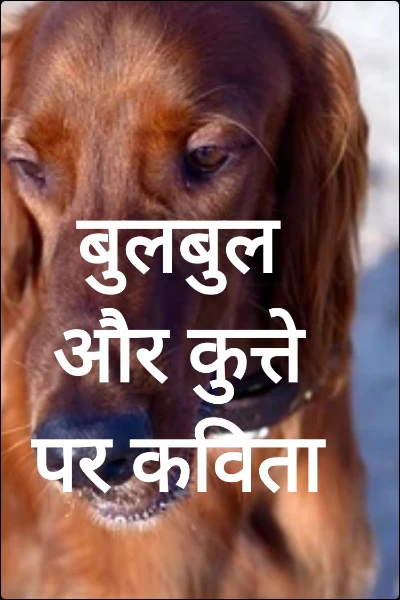 बुलबुल और कुत्ते पर कविता