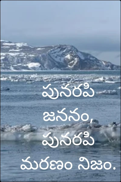 పునరపి జననం, పునరపి మరణం నిజం.