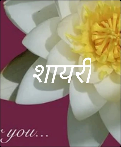 शायरी