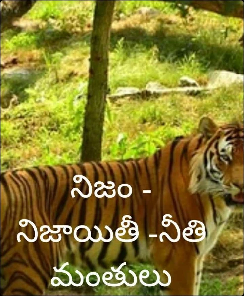 నిజం - నిజాయితీ -నీతి మంతులు