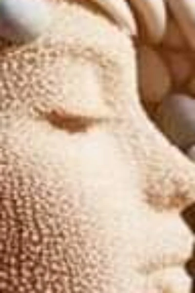 "एक अपराध"भाग 1(स्क्याम)