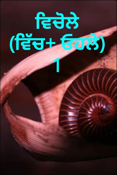 ਵਿਚੋਲੇ      (ਵਿੱਚ+ ਓਹਲੇ) 1