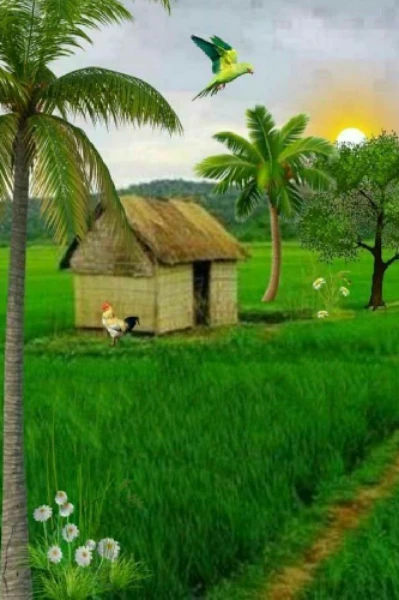 আমাদের গ্রাম। (ছোটদের ছড়া)