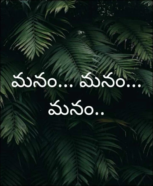 మనం... మనం... మనం..