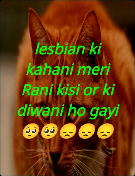 lesbian ki kahani meri Rani kisi or ki diwani ho gayi 🥺🥺😞😞😞