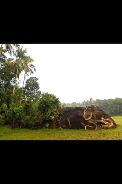 ആനപ്പാറ