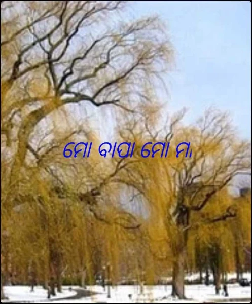 ମୋ ବାପା ମୋ ମା