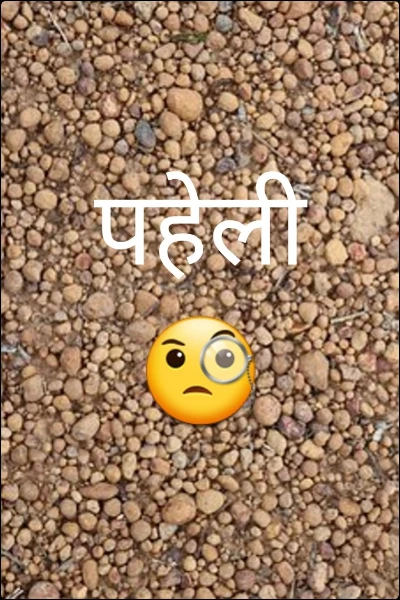 पहेली 🧐