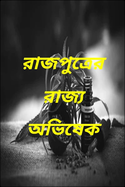 রাজপুত্রের রাজ্য অভিষেক