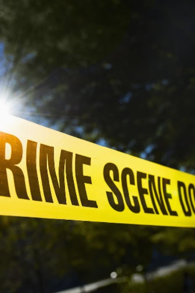 క్రిమినల్స్