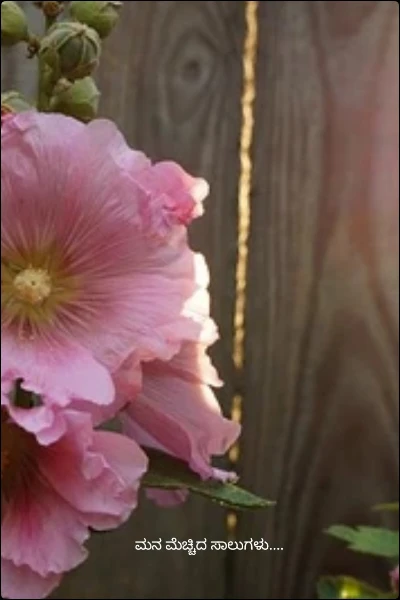 ಮನ ಮೆಚ್ಚಿದ ಸಾಲುಗಳು....