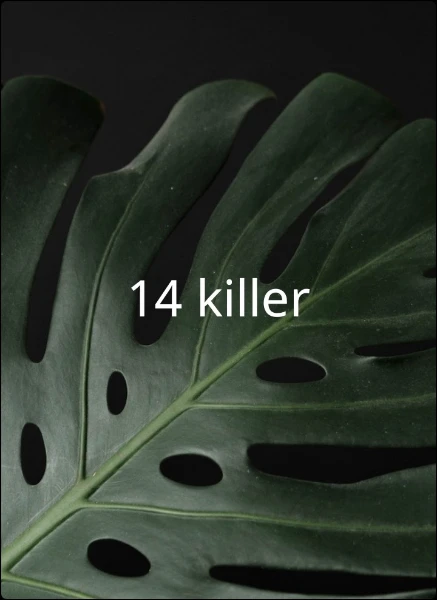 14 killer