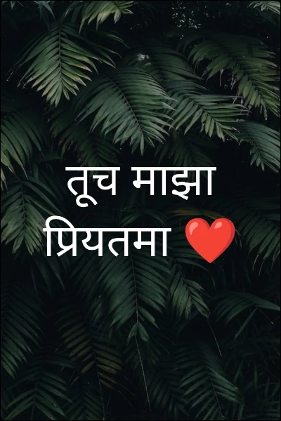 तूच माझा प्रियतमा ❤️