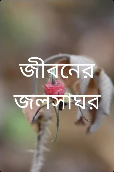 জীবনের জলসাঘর