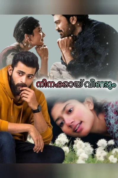 💓🥀നിനക്കായ് വീണ്ടും🥀💓