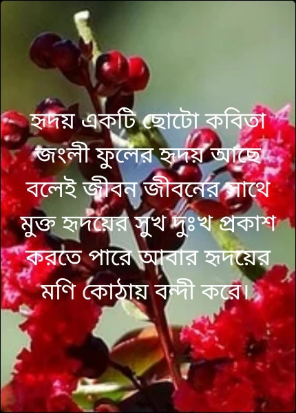 হৃদয় একটি ছোটো কবিতা জংলী ফুলের হৃদয় আছে বলেই জীবন জীবনের সাথে মুক্ত হৃদয়ের সুখ দুঃখ প্রকাশ করতে পারে আবার হৃদয়ের মণি কোঠায় বন্দী করে।