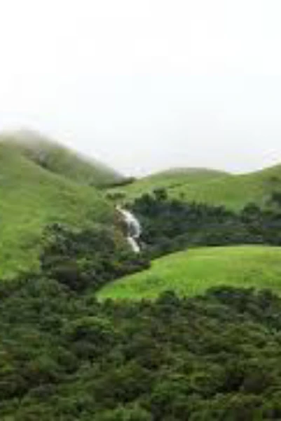 மேற்கு தொடர்ச்சி மலை
