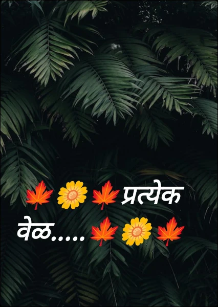 🍁🌼🍁प्रत्येक वेळ.....🍁🌼🍁