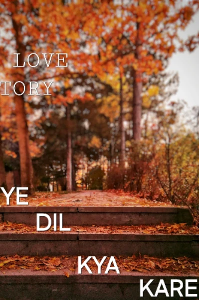 YE DIL KYA KARE...