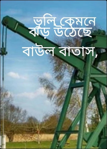 ঝড় উঠেছে বাউল বাতাস,