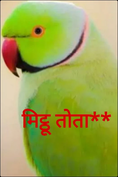 मिट्ठू तोता (बाल कथा)