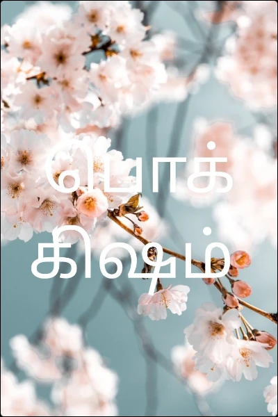 பொக்கிஷம்