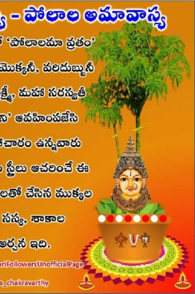 పోలాల అమావాస్య పూజా విధానం: