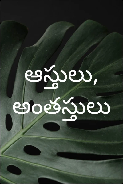 ఆస్తులు, అంతస్తులు