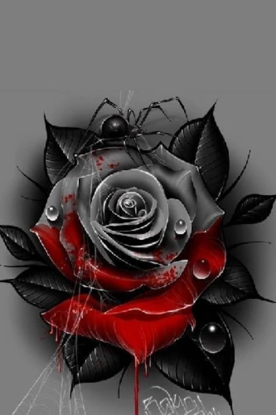 BLACK ROSE
