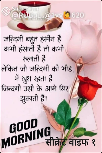 सीक्रेट वाइफ