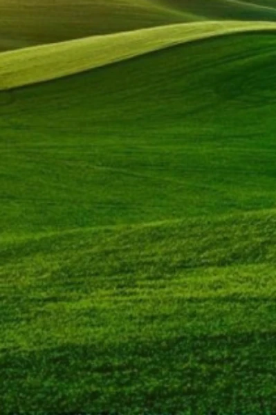 వివాహేతర సంబంధం