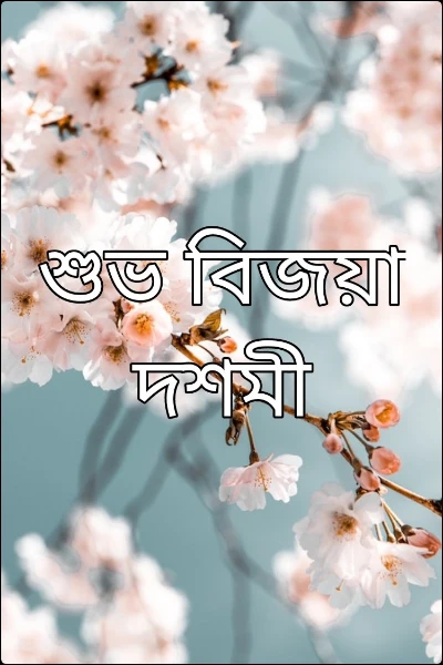 শুভ বিজয়া দশমী