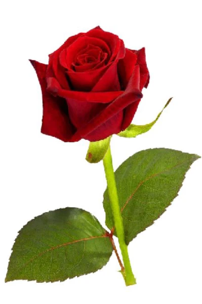 मैला आंचल  सुपर लेखक अवार्ड सीजन 9