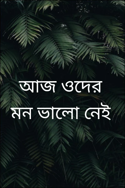 আজ ওদের মন ভালো নেই